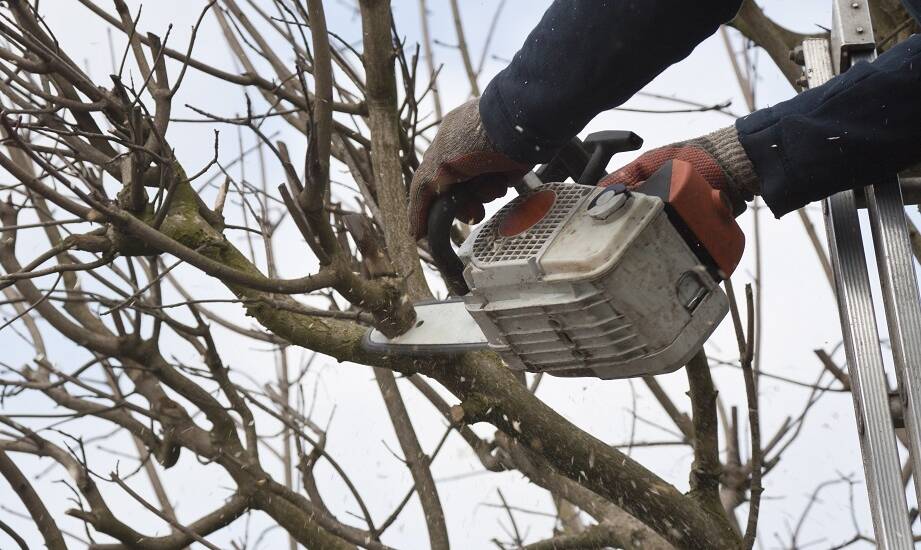 Kluczowe cechy pilarek i ich znaczenie dla użytkownika