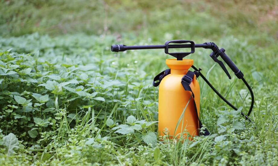 Innowacje w opryskiwaczach, które zmieniają branżę ogrodniczą.