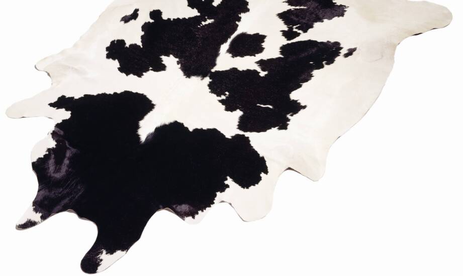 Zalety dekoracyjnych kozich skór w nowoczesnych aranżacjach