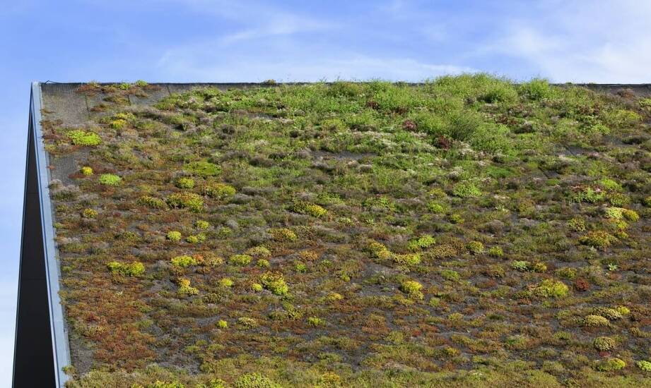 Jakie są zalety stosowania wegetacyjnych mat w systemach dachowych?
