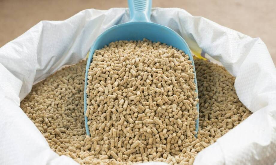 Składniki odżywcze w Acana Light & Fit – co sprawia, że jest wyjątkowa?