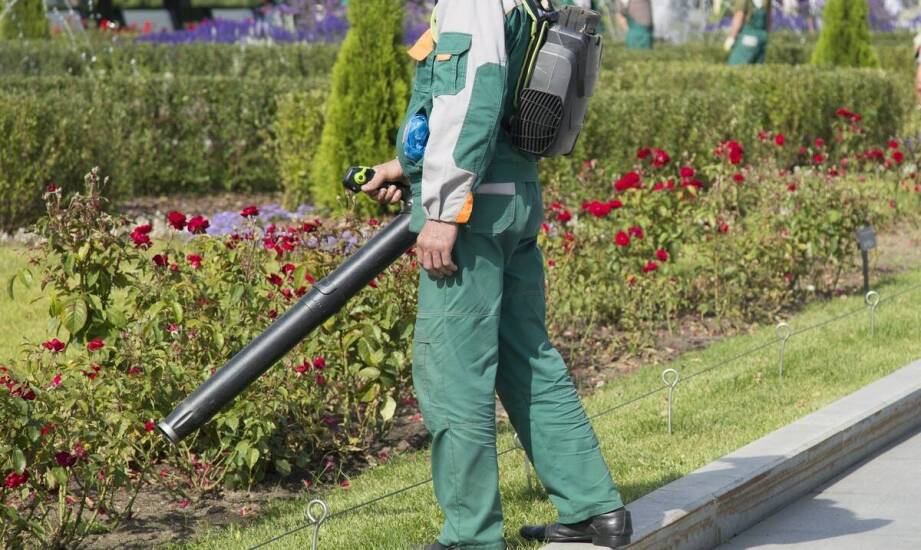 Jak w walce ze szkodnikami mogą pomóc usługi ogrodnicze we Wrocławiu?