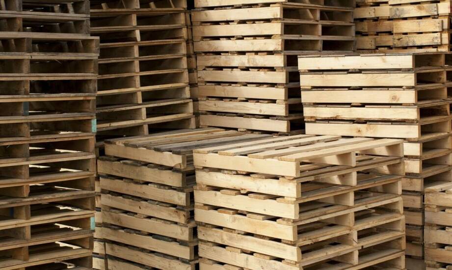 Welche Paletten bieten polnische Holzpalettenhersteller an? Erläutere Einwegmodelle, Industriemodelle, chemische CP-Modelle.