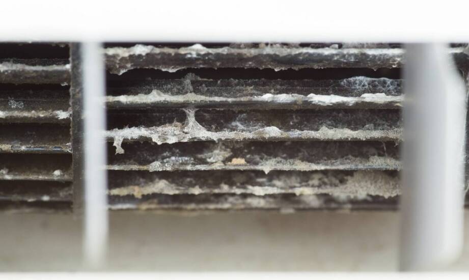 Effektivität von Chlordioxid bei der Entfernung von Biofilm aus Wassersystemen