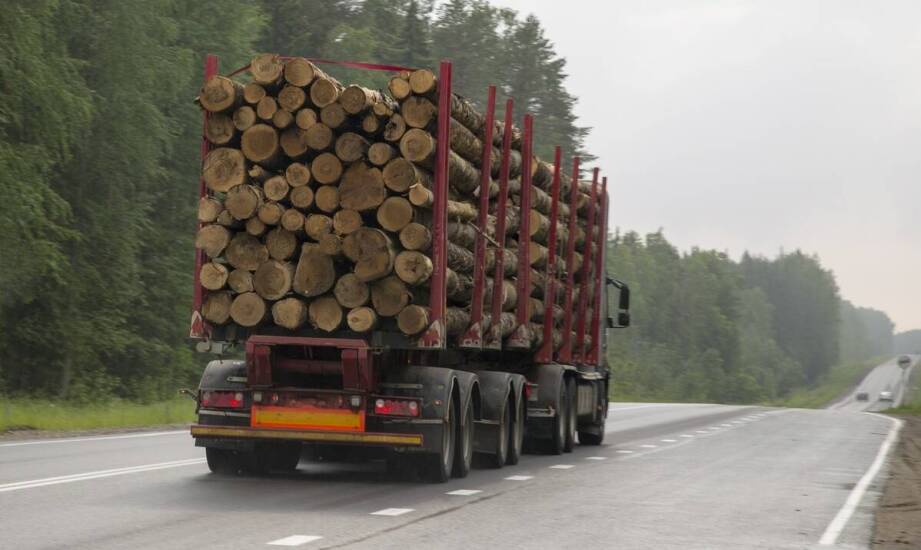 Transport drewna – co warto wiedzieć o logistyce dostaw?