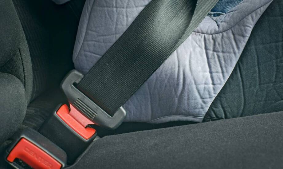 Wybór bezpieczeństwa pasa dla psa - co warto wiedzieć przed zakupem?