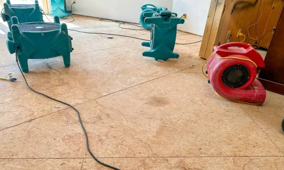 Jakie korzyści płyną z ekologicznych metod do osuszania budynków?