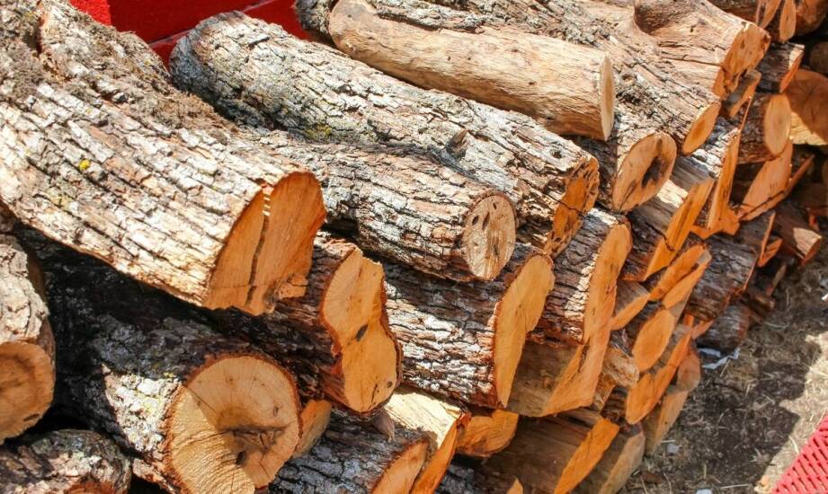 Drewno opałowe a ekologia – jak świadomie wybierać?