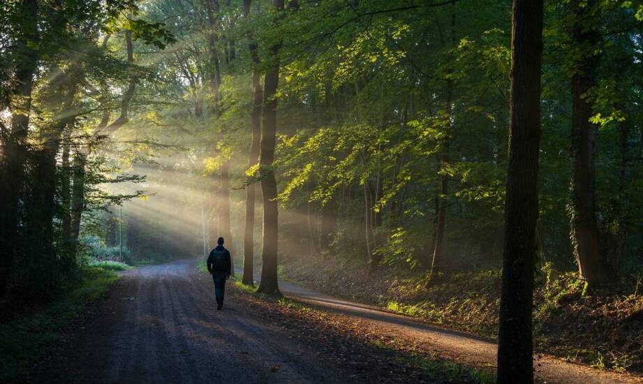 Proces adaptacji do życia bez uzależnień w otoczeniu przyrody