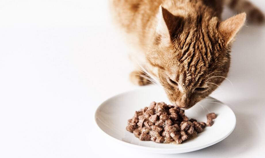 Jakie odżywcze właściwości czynią karmę Naturina wyjątkową dla Twojego pupila?