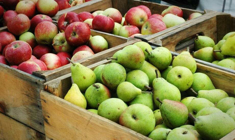 Jakie owoce najlepiej sprawdzają się w standardowych skrzynkach?