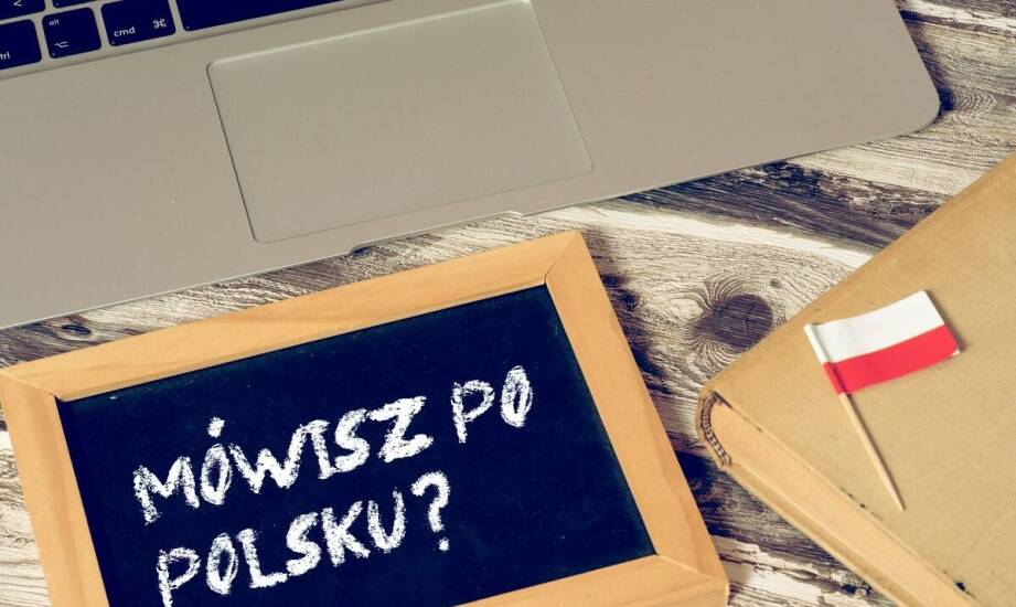 Rola hiszpańsko-polskich słowników w nauce romańskich języków