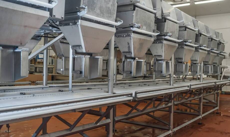 Optymalizacja kosztów produkcji dzięki nowoczesnym celkowym podajnikom