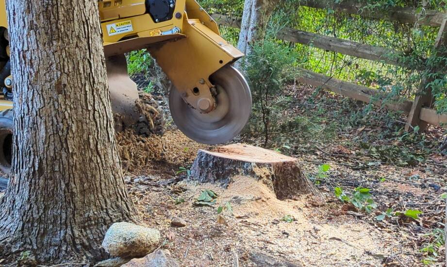 Frezowanie pni a ochrona gleby przed erozją