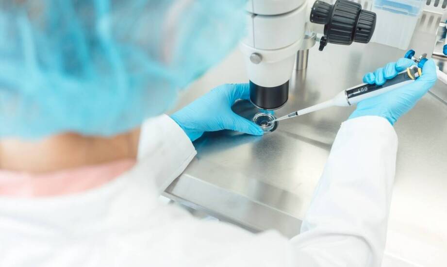 Czynniki wzrostu a procesy naprawcze w organizmie