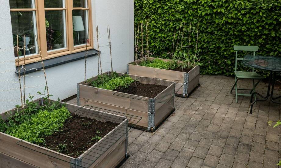 Jakie korzyści oferują parterowe mieszkania z ogródkami w szeregówkach?