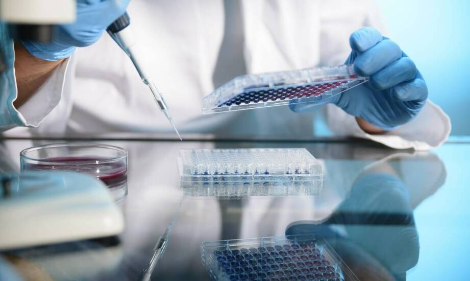 Jakie korzyści przynoszą nowoczesne techniki w mikrobiologicznej diagnostyce?