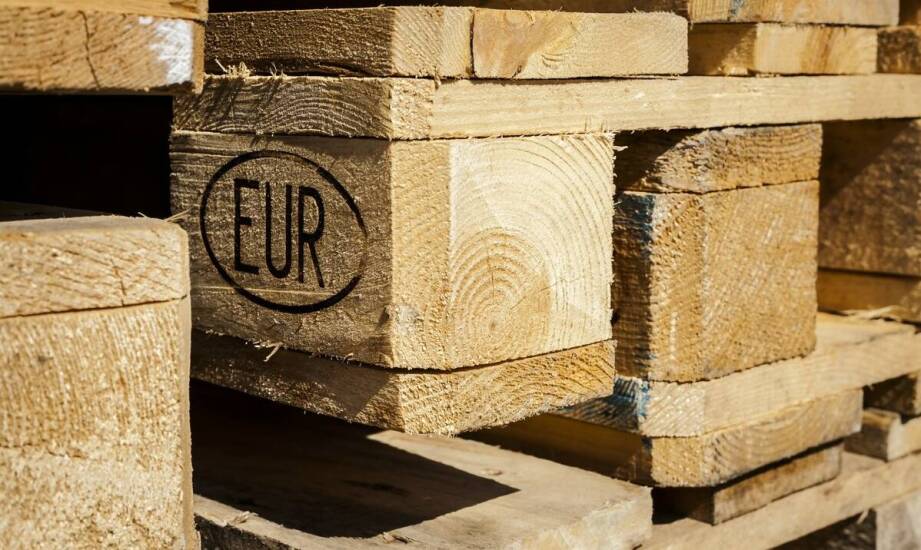 Dlaczego drewno z tartaku w Głubczycach jest idealnym wyborem dla ekologicznego budownictwa?