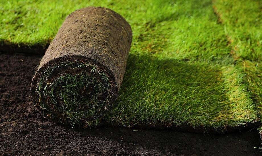 Przygotowanie podłoża pod trawę w rolce: kluczowe kroki