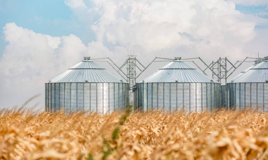 Bucket elevator as a scraping grain conveyor