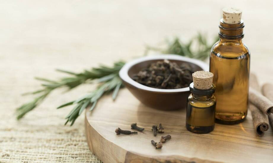 Korzenne miody pitne – jakie przyprawy tworzą ich unikalny smak?