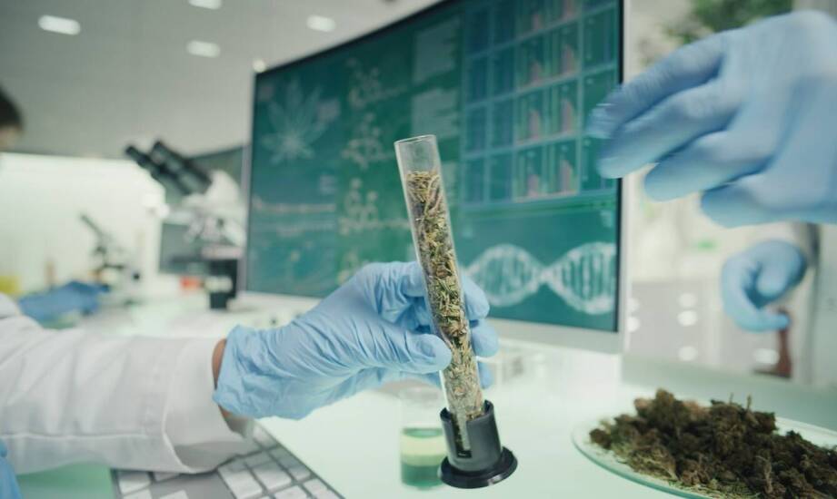 Wpływ technologii na metody nowoczesne pozyskiwania surowców zapachowych