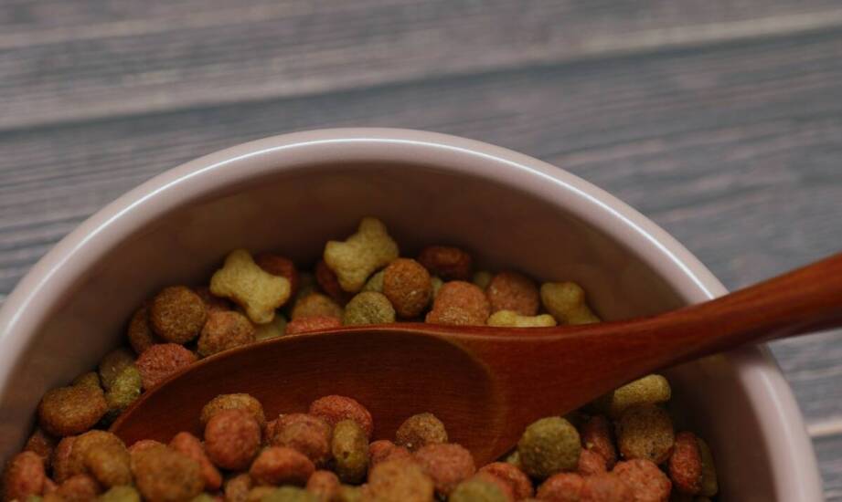 Dlaczego warto wybierać przysmaki dla kotów bez barwników sztucznych?