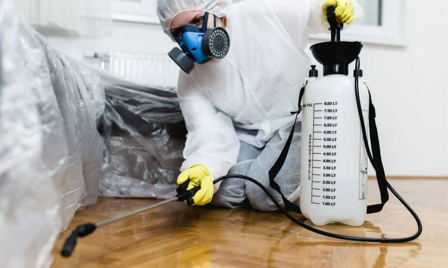 Dezynsekcja a ochrona zdrowia mieszkańców – jakie korzyści są?