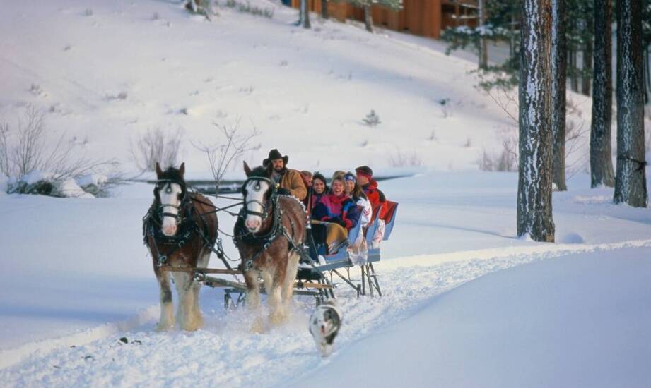 Rola lokalnych tradycji w organizacji integracyjnych kuligów w Bieszczadach