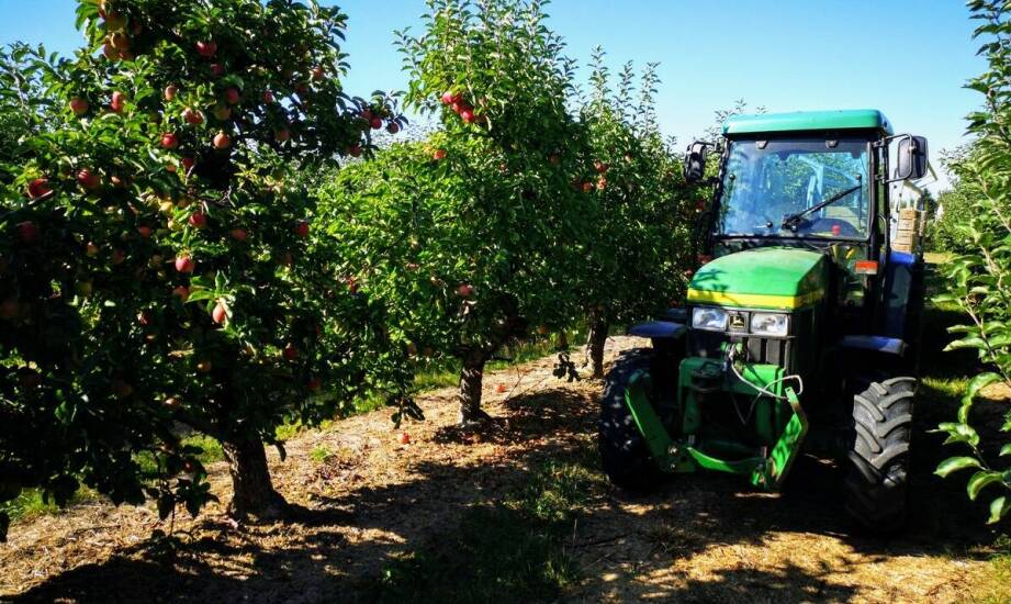What technological innovations influence the fruit wholesale market?