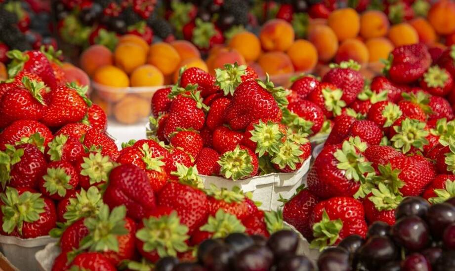 What are the advantages of a wide offer of fruits in wholesale trade?