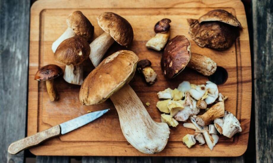 Benefits of choosing Polish mushrooms for the HoReCa sector