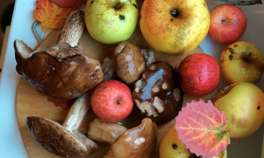 The role of local mushroom suppliers in building customer relationships