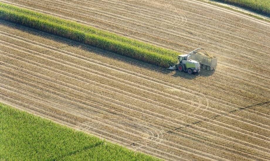 Mieszanki poplonowe a zwiększenie efektywności w produkcji rolnej