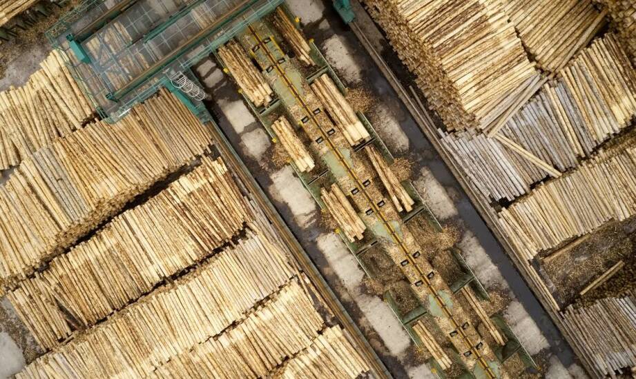 Rola silosów do trocin w zrównoważonym zarządzaniu odpadami drzewnymi