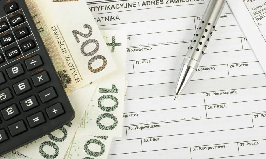 Wpływ automatyzacji na szybkość uzyskiwania wadialnych poręczeń powyżej 100.000 PLN