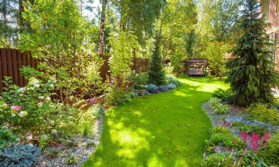 Jakie liściaste drzewa są idealne do ogrodów przydomowych?