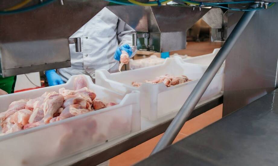 Jak zbudowane są urządzenia przemysłowe do obróbki drobiu?