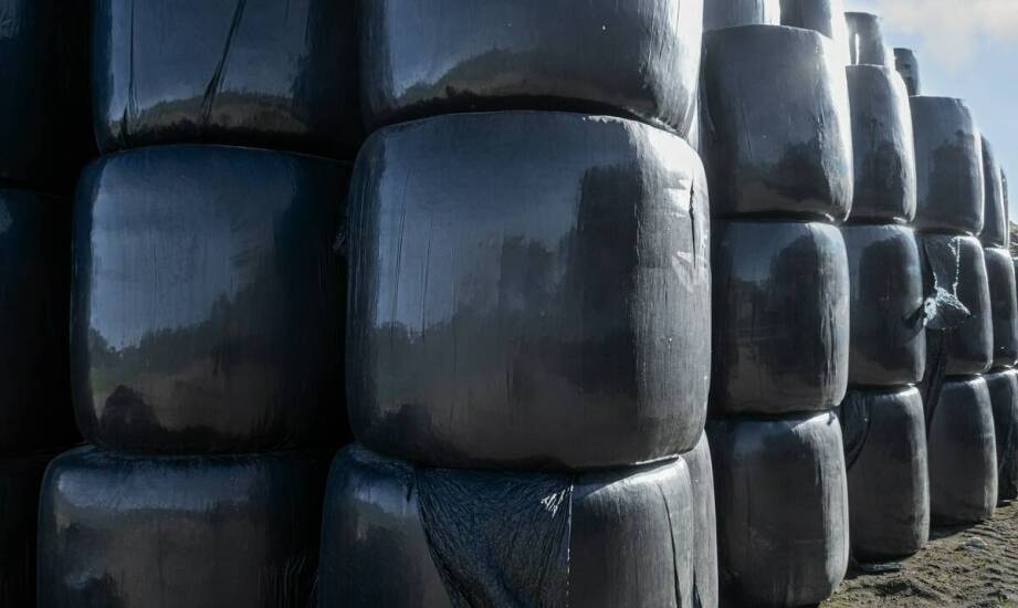 Przewodnik po rodzajach folii do sianokiszonek dostępnych na rynku.