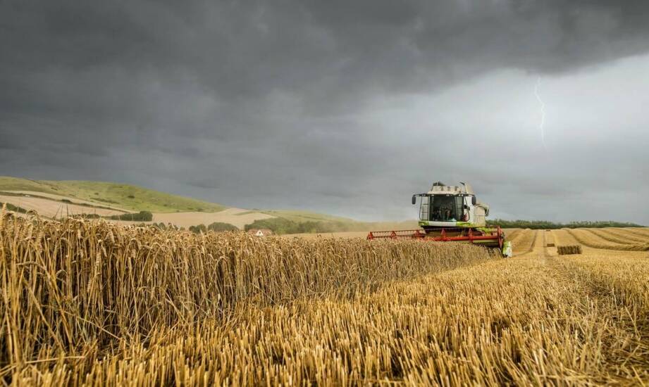 Ubezpieczenie rolnych gospodarstw a ochrona przed utratą plonów