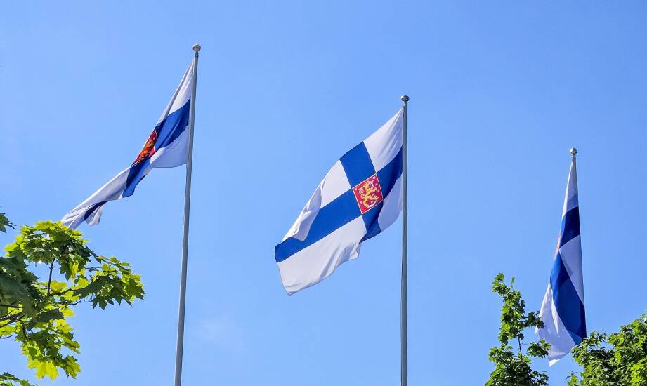 Język fiński dla początkujących – jak wygląda struktura tego kursu?