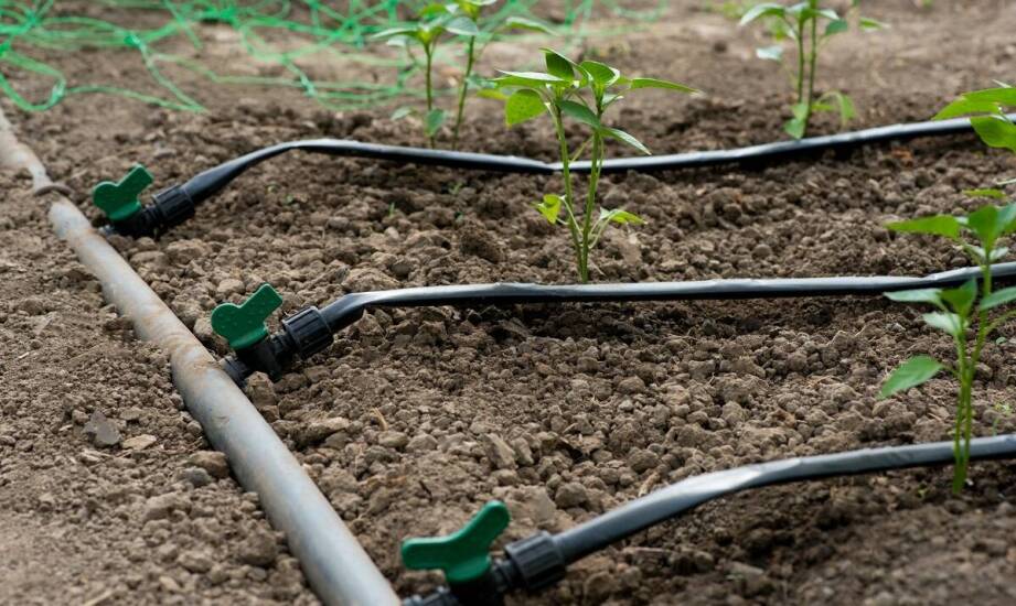 Jak zaplanować instalację systemu nawadniającego na działce?