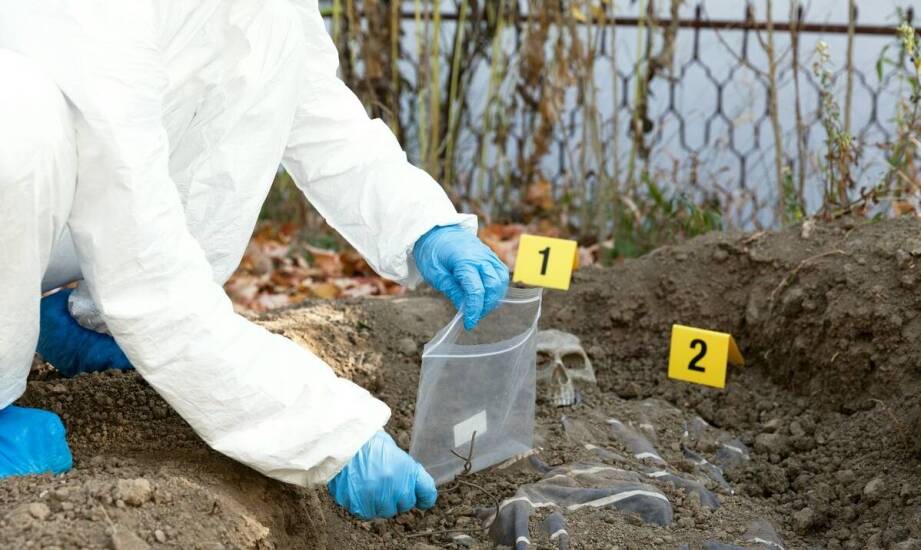 Jakie są aspekty ekologiczne związane z procesem ekshumacji i ponownego pochówku?