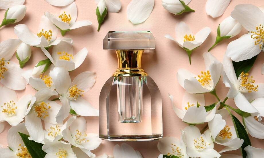 Jaśmin: Jakie są jego aromatyczne i zdrowotne właściwości?