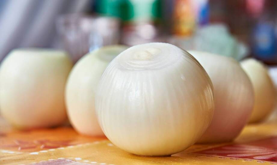 How Does a Stable Onion Supplier Increase Your Business Profitability?