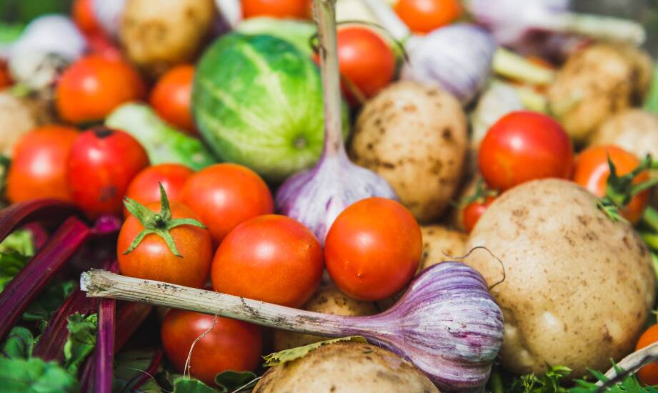 How Does a Vegetable Producer Support Sustainable Development in the Food Industry?