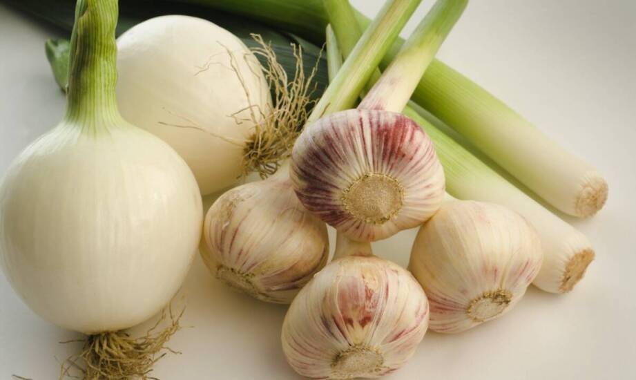 Wholesale Onion Deliveries – How to Ensure the Highest Product Quality?