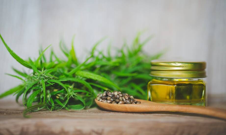 Sklepy CBD: co warto wiedzieć przed zakupem produktów z konopi
