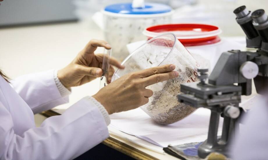 Laboratorium kryminalistyczne: jak działa analiza dowodów i ślady materiałowe