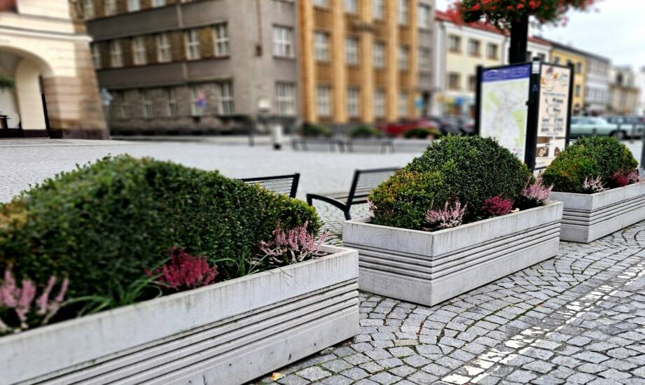 Donice miejskie — praktyczne pomysły na zieleń w przestrzeni publicznej